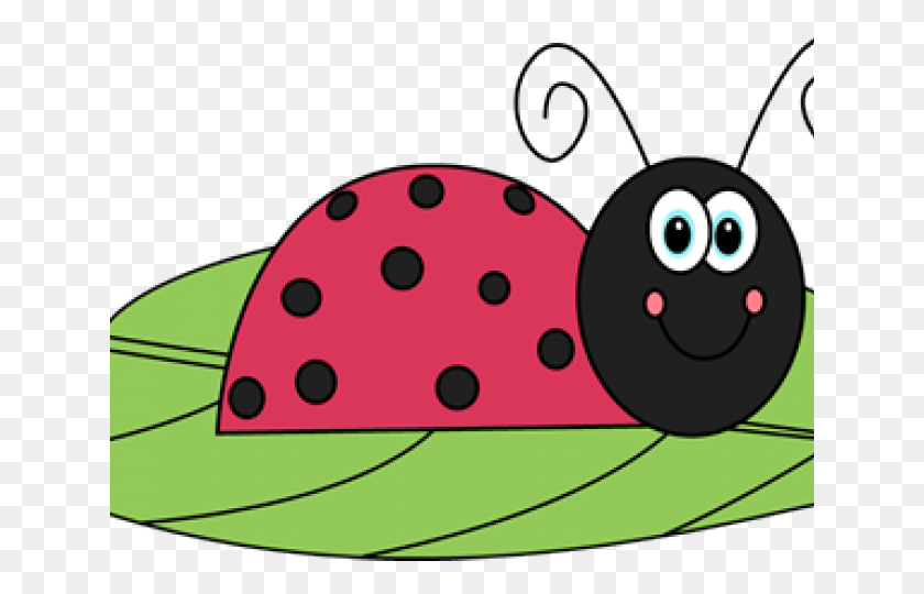 640x480 Ladybug Clipart Free Clip Art Stock Illustrations - Ladybug Clipart