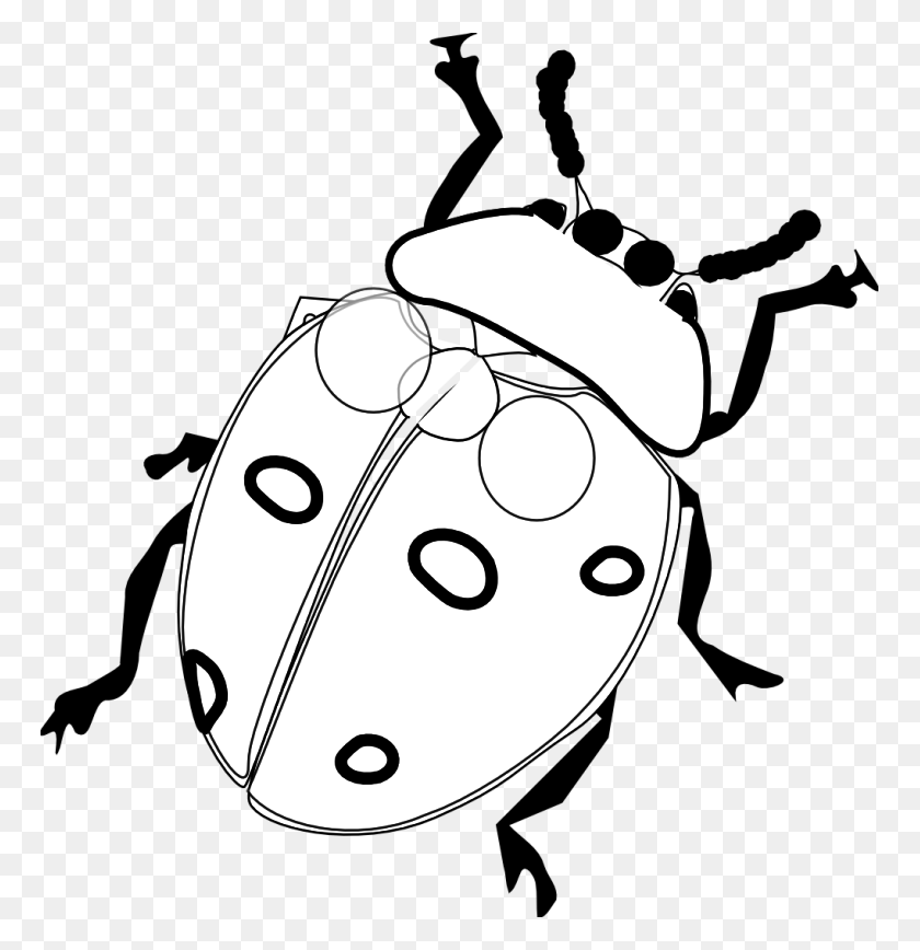765x808 Ladybug Clipart Pencil - Ladybug Black And White Clipart