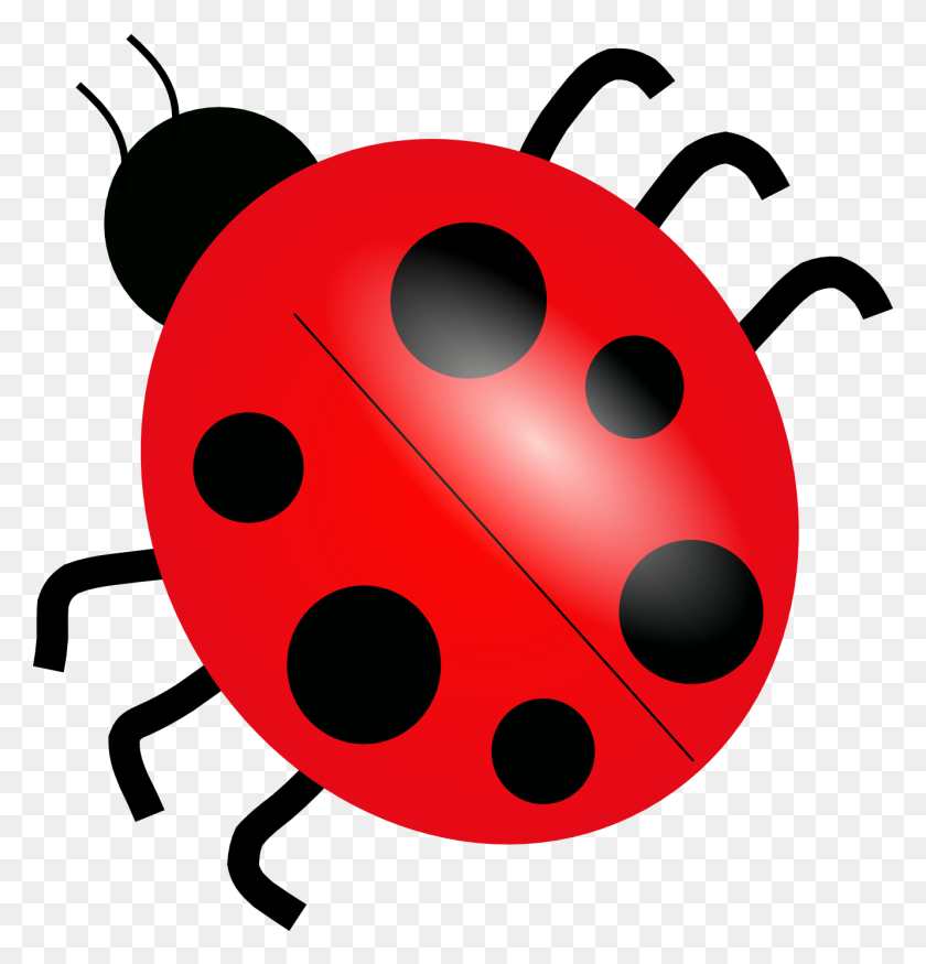 1331x1391 Ladybug Hd Png Transparent Ladybug Hd Images - Insect PNG