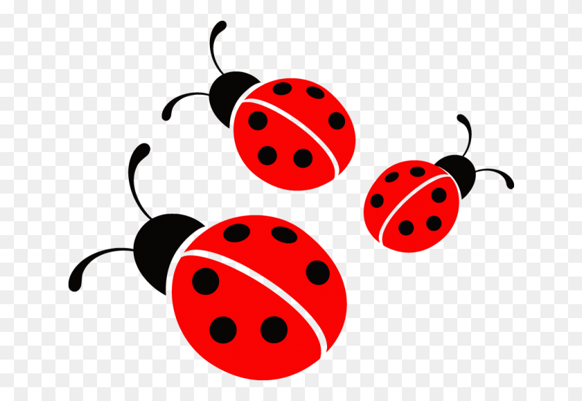 1020x680 Ladybug Icon - Ladybug PNG