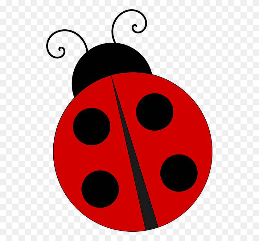 539x720 Ladybug Png Images Transparent Free Download - Free Ladybug Clipart