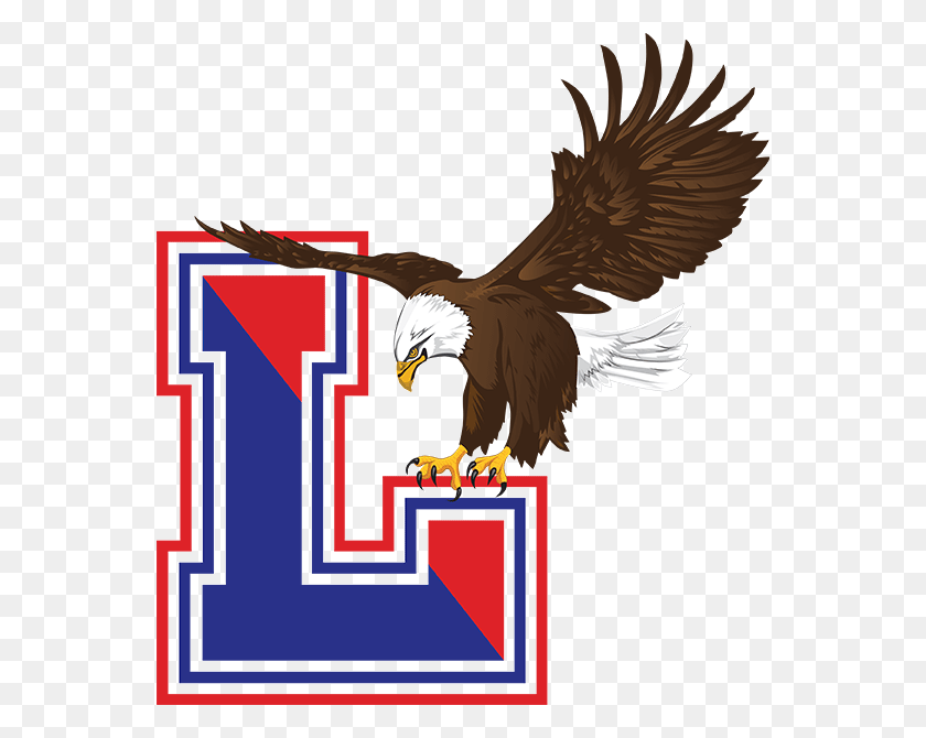 556x610 Lakes Eagles Logo - American Eagle PNG