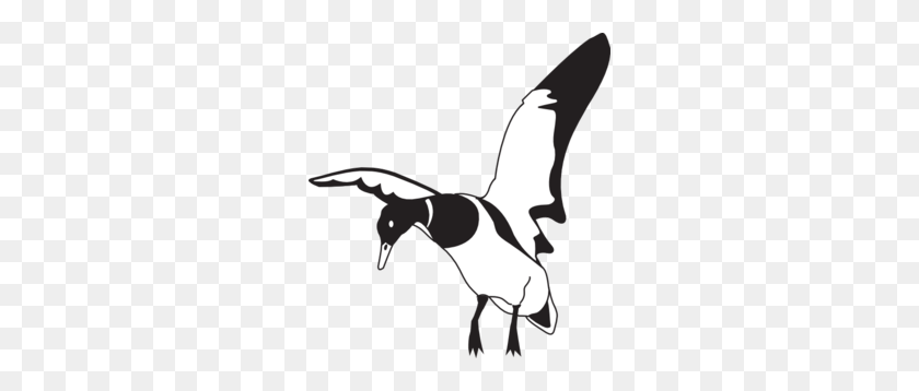 276x298 Landing Black And White Duck Png, Clip Art For Web - Crow Clipart Black And White