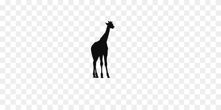 360x360 Lane, Giraffe, Black Png Image And Clipart For Free Download - Giraffe Silhouette Clip Art