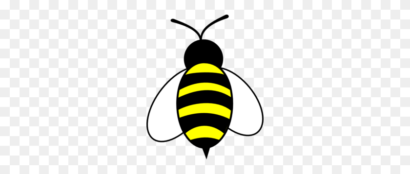 240x298 Большая Пчела Картинки Пчелы Пчелы, Картинки И Мозаика - Мед Пчелы Клипарт