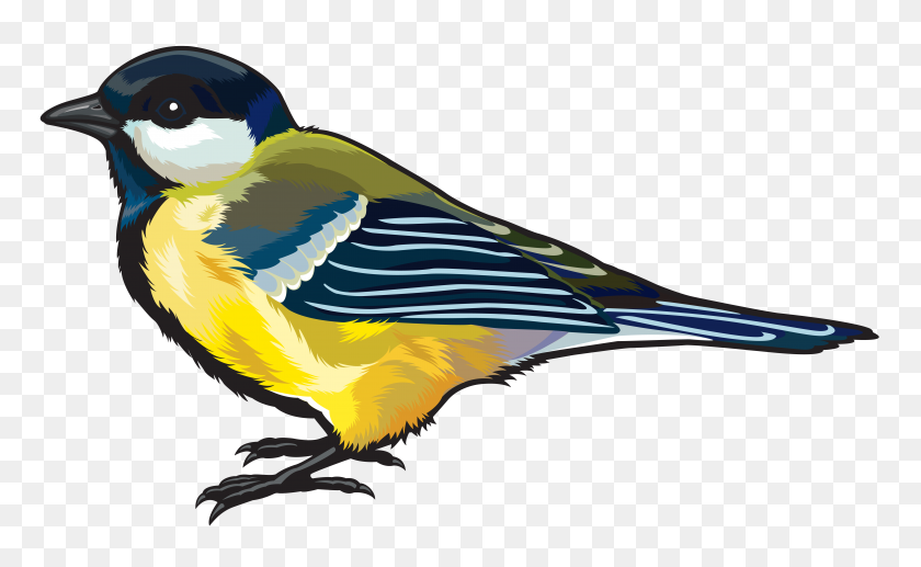 6291x3690 Pájaro Grande Png Clipart - Aves Png