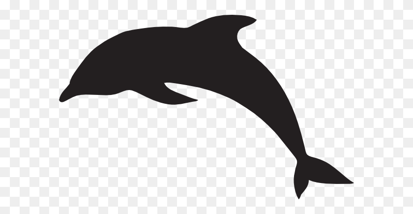 600x375 Большой Картинки Дельфинов - Дельфин Клипарт