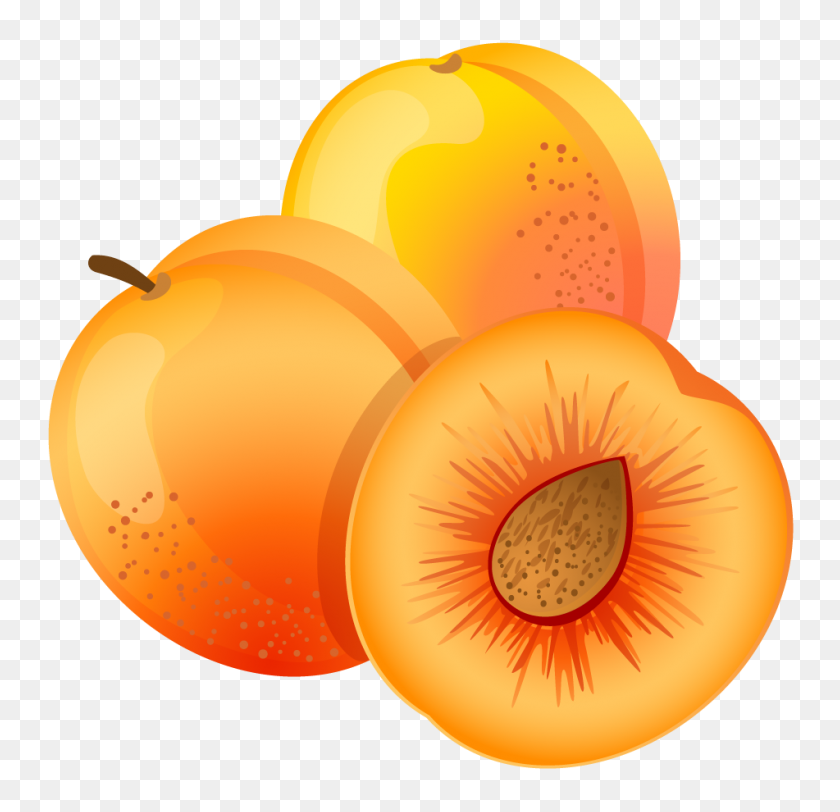 951x917 Large Painted Apricot Png Clipart Clip - Orange Fruit Clipart