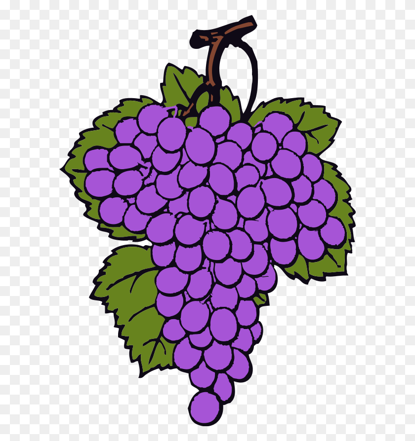 600x834 Large Painted Grapes Png Clipart - Grapes PNG