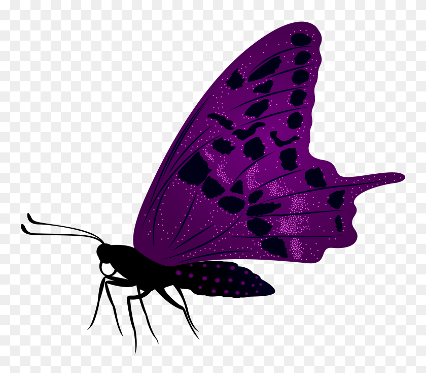 7917x6851 Большая Фиолетовая Бабочка Png Клипарт - Фиолетовая Бабочка Png