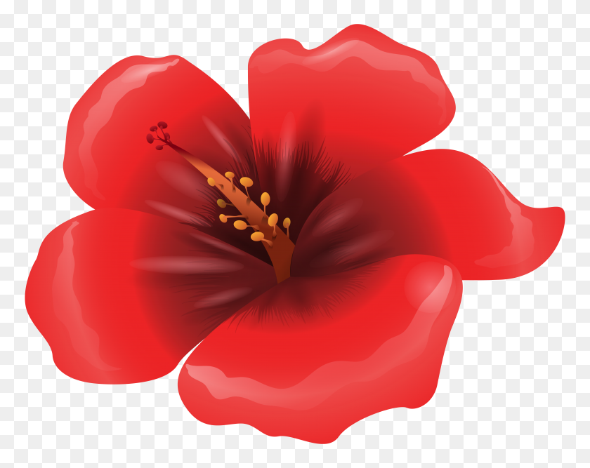 6250x4869 Large Red Flower Clipart Png - Red Flower Clipart