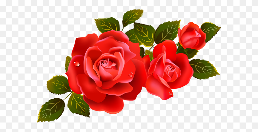 600x371 Large Red Roses Clipart Element Clip Art Flowers - Red Rose Clip Art