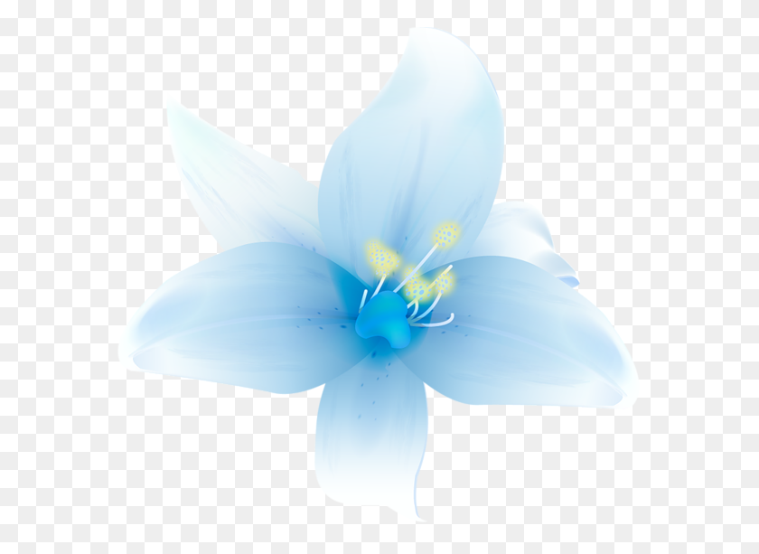 600x553 Большие Белые Лилии Клипарт Обои И Многое Другое - Белый Цветок Png