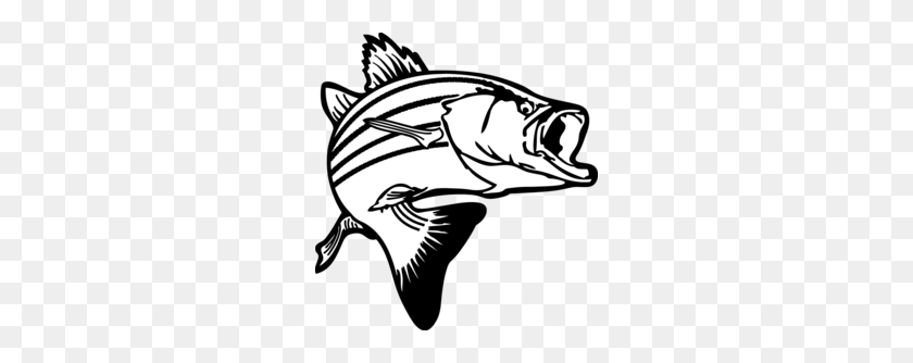 260x274 Largemouth Bass Clipart - X Ray Fish Clipart