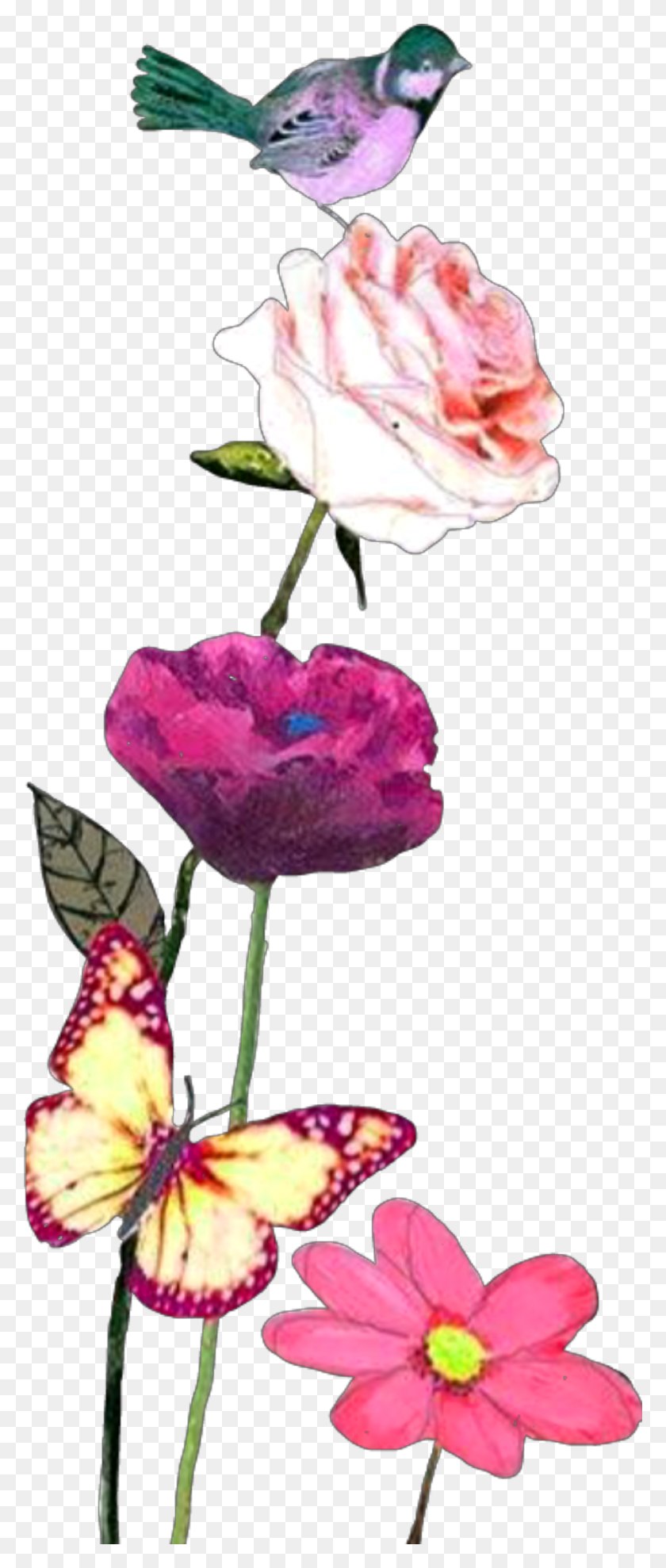 930x2288 Largest Collection Of Free To Edit Flowers Nature Stickers - Free Watercolor Flowers PNG