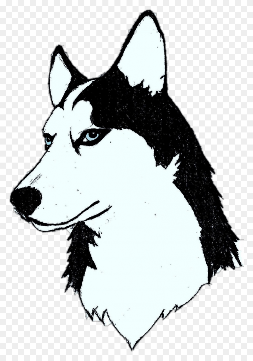 1153x1684 Largest Collection Of Free To Edit Husky Dog Stickers - Husky PNG