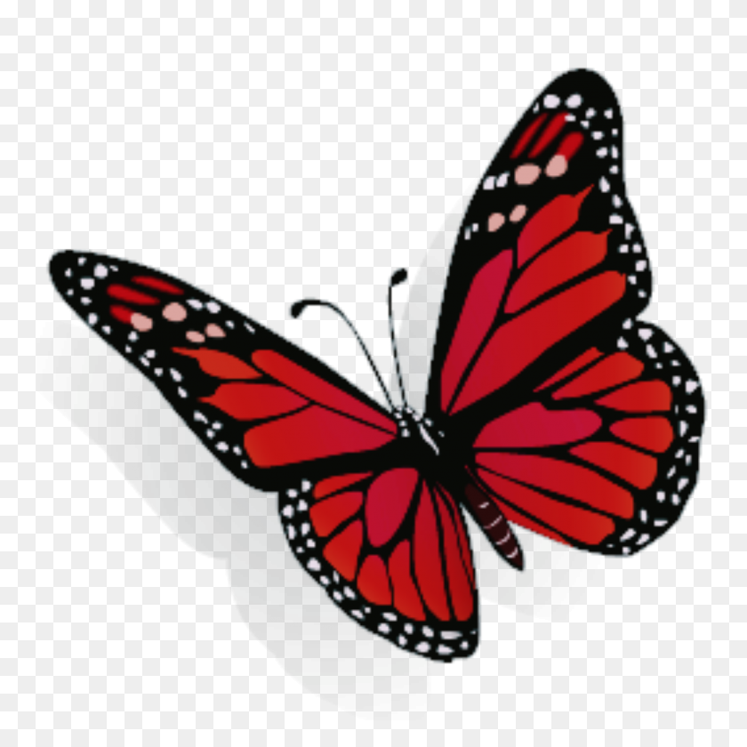 2289x2289 Largest Collection Of Free To Edit Stickers - Mariposas PNG