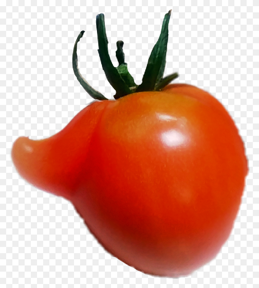 855x957 La Colección Más Grande De Pegatinas De Pasta De Tomate Gratuitas Para Editar - Tomatoe Png
