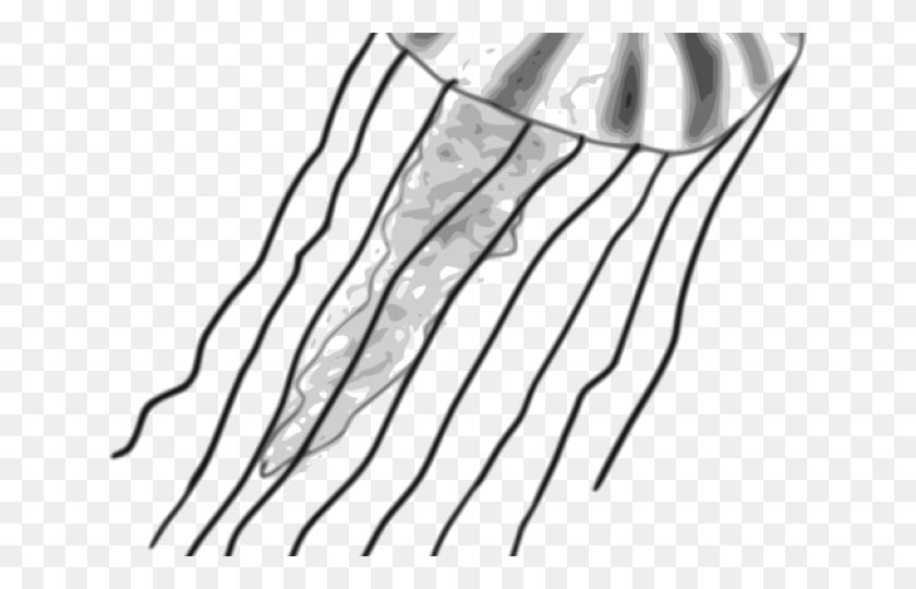 640x480 Latest Cliparts - Jellyfish Clipart Black And White