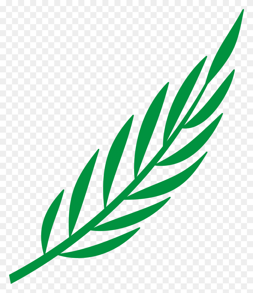 Ветвь оливы символ