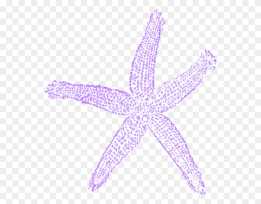 552x596 Lavender Clipart Starfish - Star Fish PNG