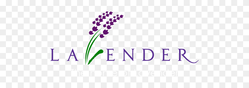 521x239 Lavender Products - Lavender PNG