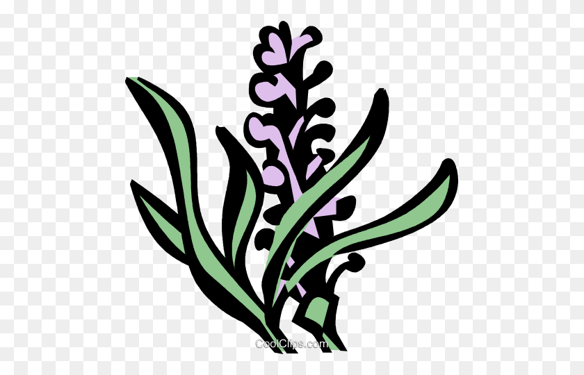 Lavender Clipart Free | Free download best Lavender Clipart Free on