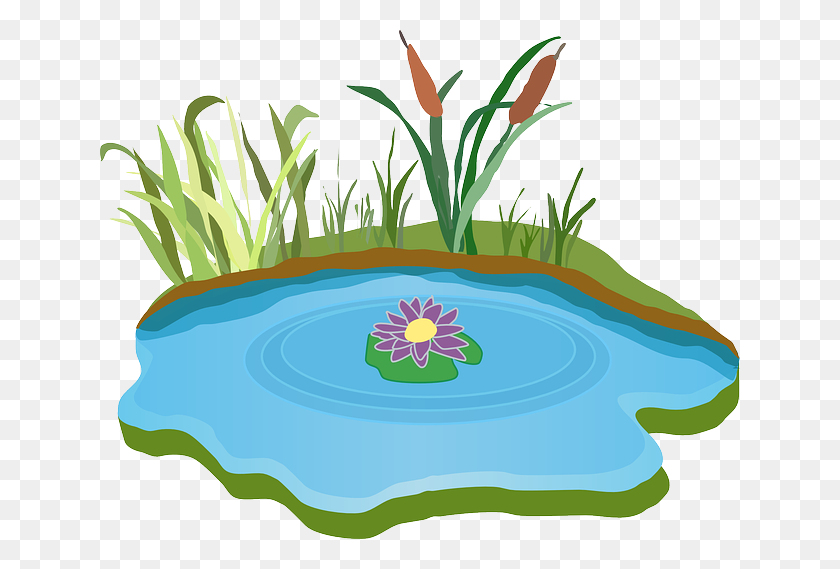 640x509 Lawn Clipart Pond Grass - Garden Hose Clipart