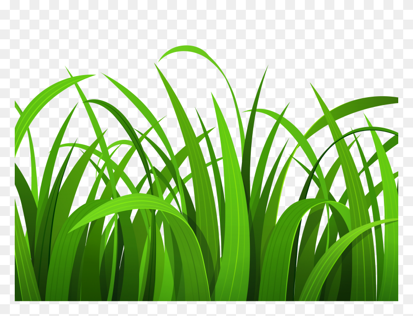 3000x2247 Lawn Cliparts Free Download Clip Art - Tall Grass Clipart