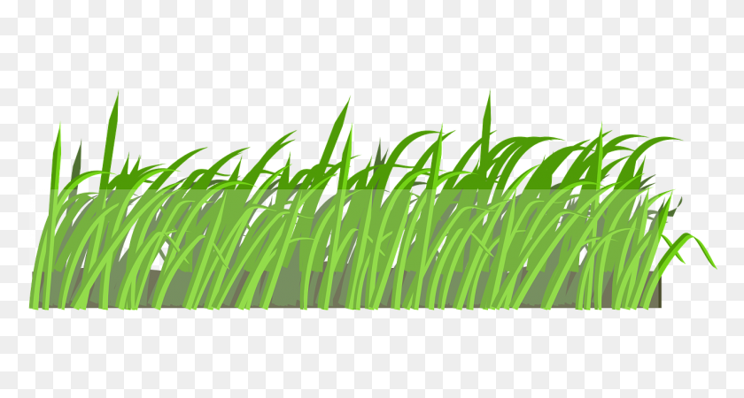 1280x640 Lawn Field Grass Landscape Transparent Image Grass - Grass Field PNG