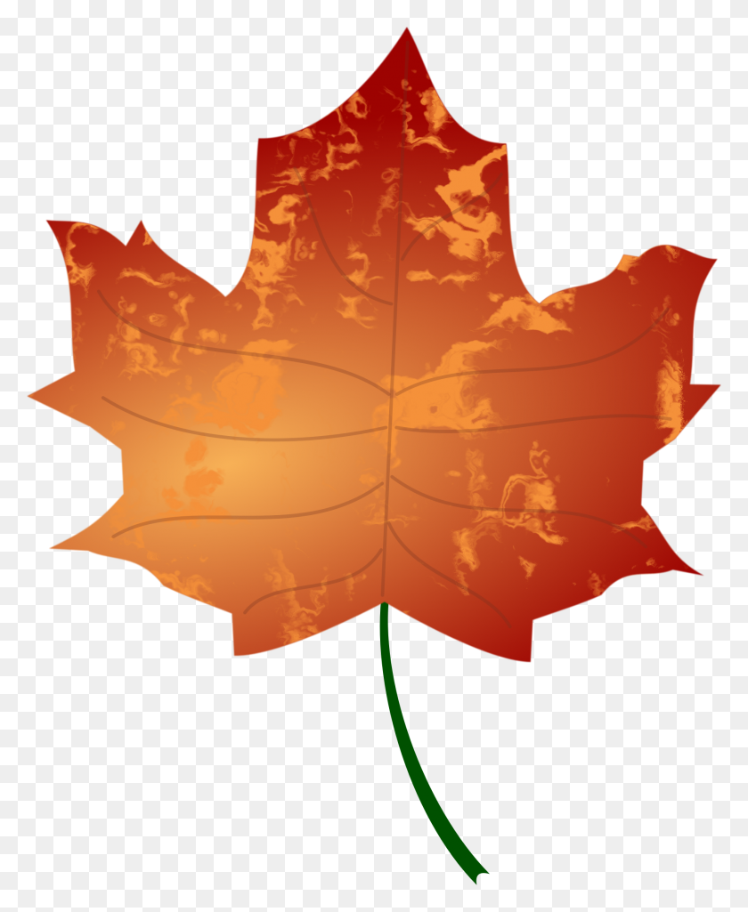 1788x2213 Leaf - Orange Leaf Clipart