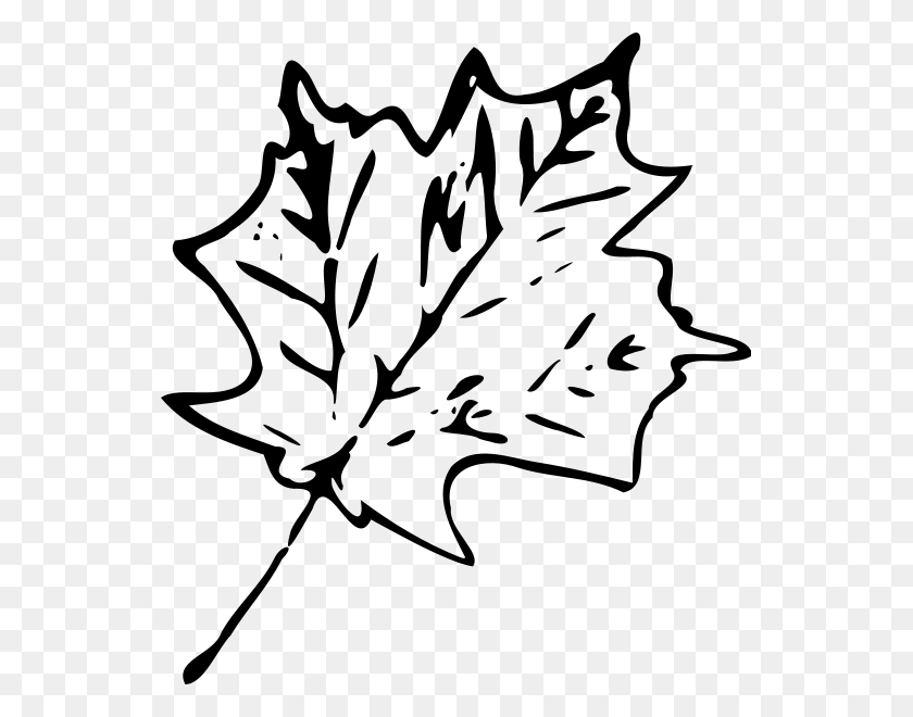 543x600 Leaf Black And White Free Leaf Clipart Black And White Clipartfest - Raking Leaves Clipart