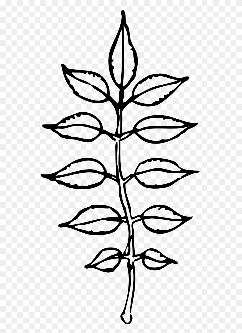 555x1093 Leaf Clip Art Black And White - 4 Leaf Clover Clipart Black And White