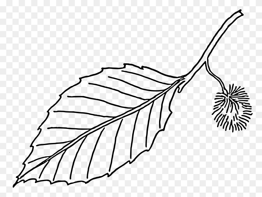 2400x1768 Leaf Clip Art Black And White - Fall Clipart Black And White