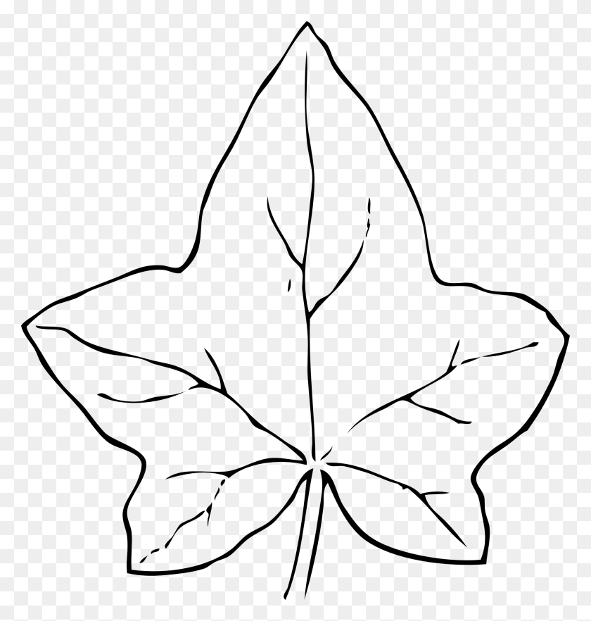1979x2088 Лист Клипарт Черно-Белый Liverandpancreascancer With Leaf - Leaf Images Clip Art