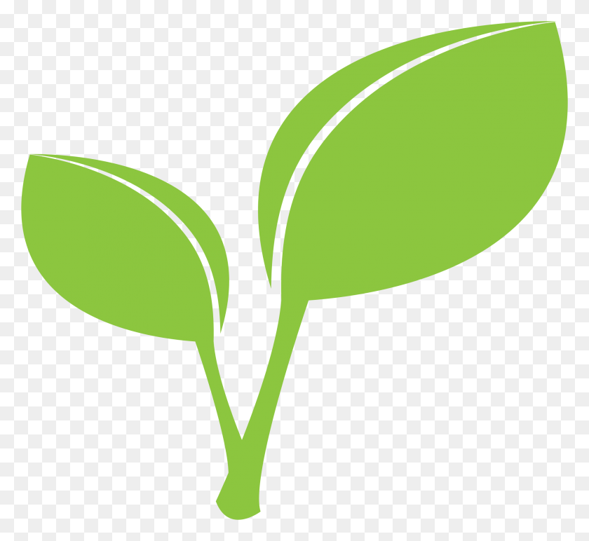 2177x1988 Leaf Clipart Green Leaf - Tobacco Leaf Clipart