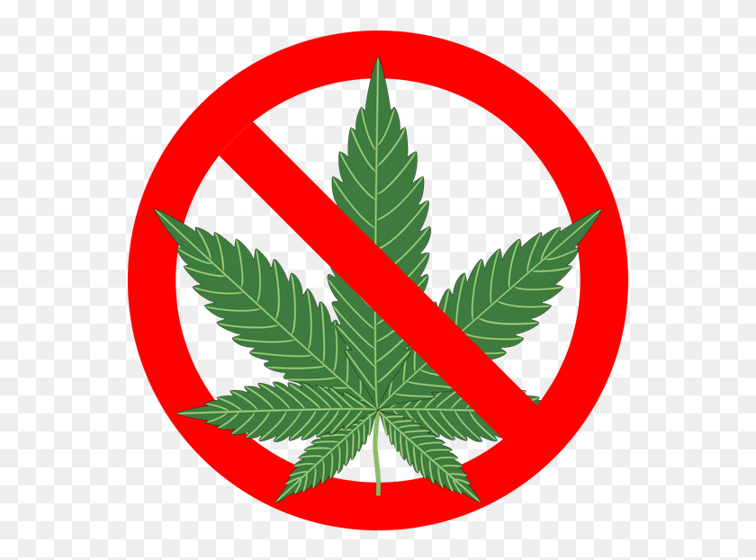 563x563 Leaf Clipart Medical Cannabis Drug Png Transprent Png - Substance Abuse Clipart