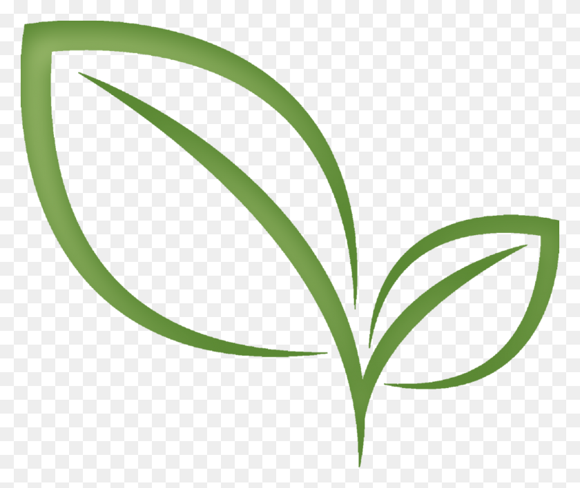 1024x852 Leaf Clipart Nature - Green Tea Clipart