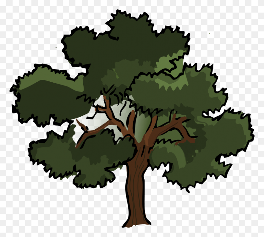 800x712 Leaf Clipart Oak Tree - Oak Leaf Clip Art