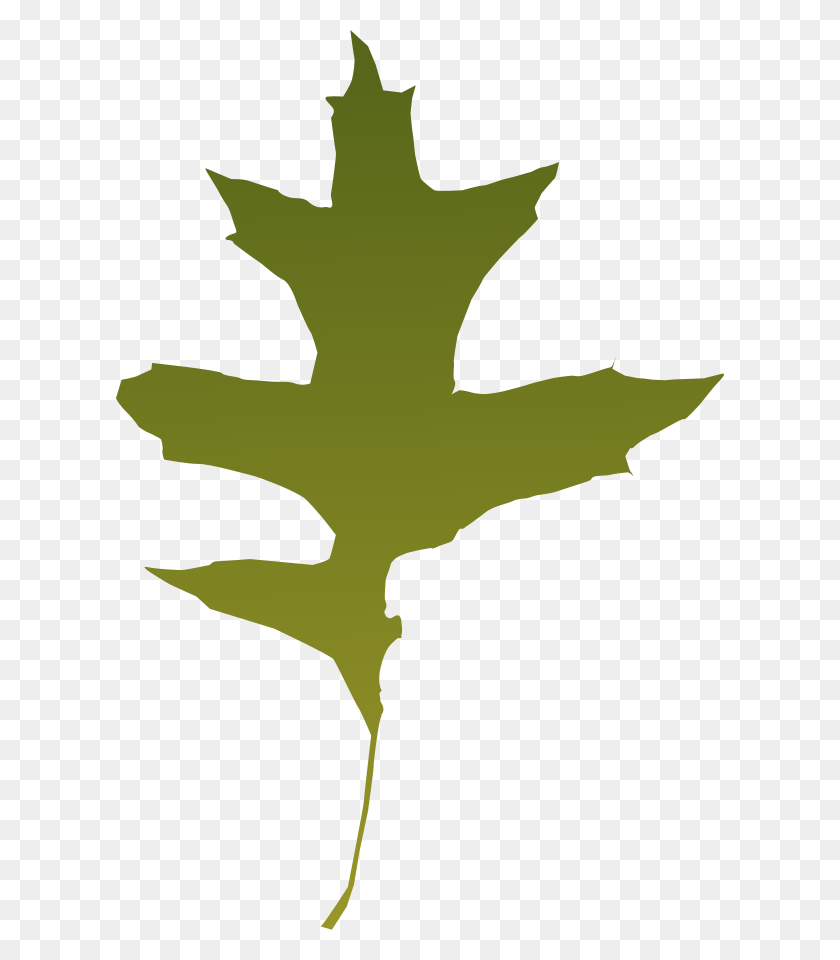 608x900 Leaf Clipart Oak Tree - Oak Tree PNG