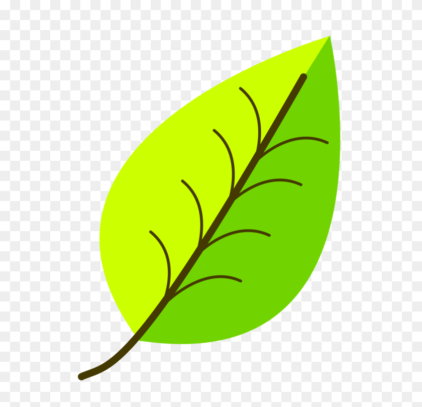 750x750 Leaf Computer Icons Green Drawing Yellow - Veins Clipart
