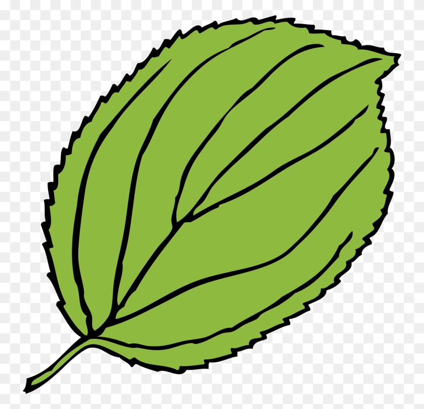 750x750 Leaf Download Drawing Plant Stem Rainforest - Rainforest Clipart Black And White