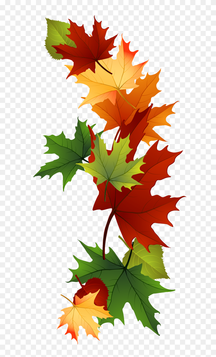 672x1328 Leaf Fall Leaves Clip Art Beautiful Autumn Clipart Image Gifts - Fall Foliage Clipart