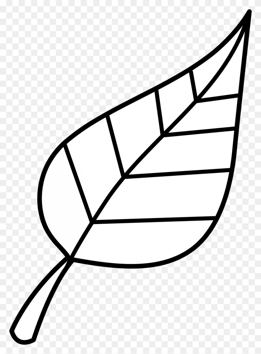 830x1151 Leaf Fall Leaves Clip Art Black And White Clipartion Com - Fall Leaf Clipart Black And White
