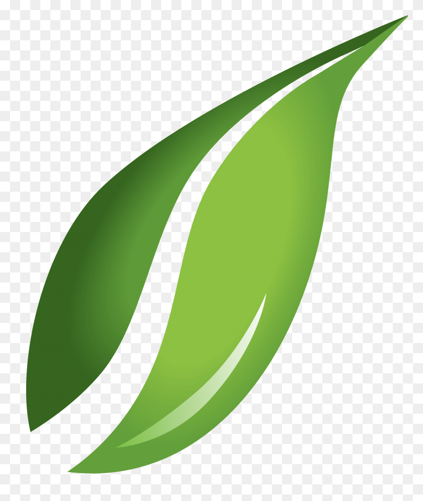1885x2257 Leaf, Garden, Leave Icon Png - Garden PNG