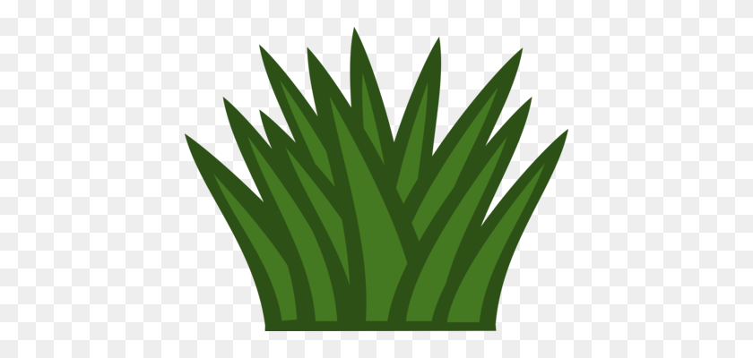 428x340 Leaf Grasses Plant Stem Plants Ecology - Transpiration Clipart