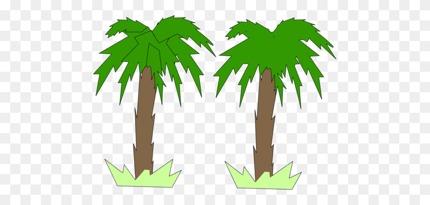 475x340 Leaf Green Plant Stem Line - Coconut Tree Clipart