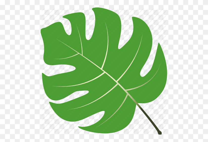 512x512 Leaf, Leaves, Maple, Nature, Tree, Tropical Icon - Tropical Leaves PNG