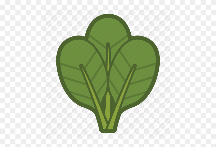 512x512 Leaf, Leaves, Salad, Spinach, Vegetable Icon - Spinach PNG