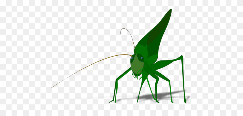 489x340 Leaf Line Angle Plant Stem Grasshopper - Cricket Bug Clipart